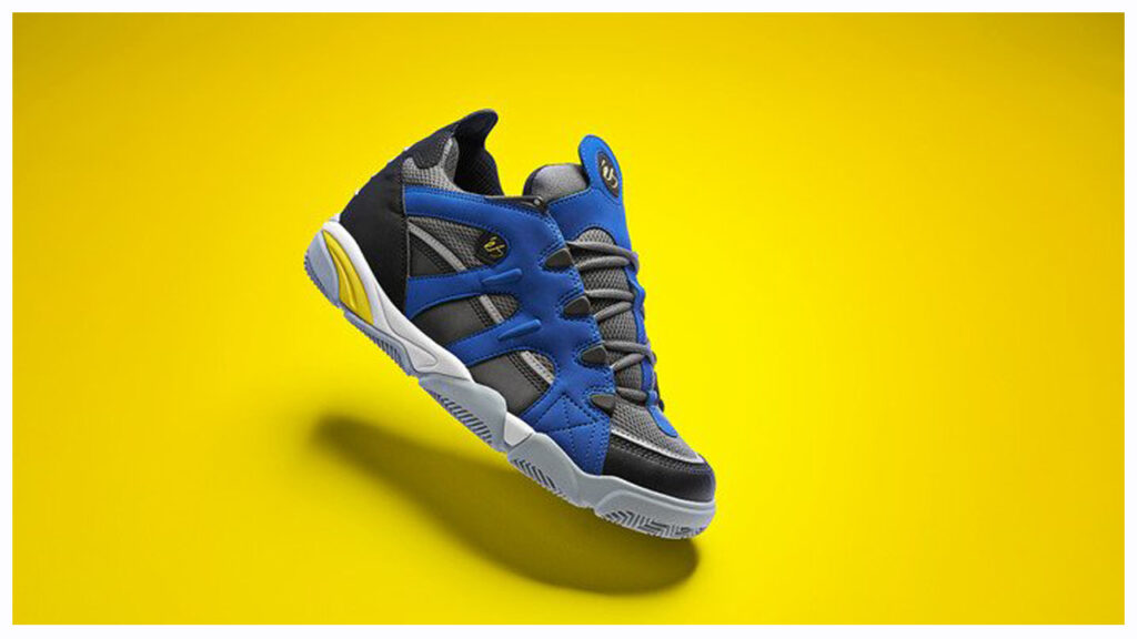 ES Skate Shoes?